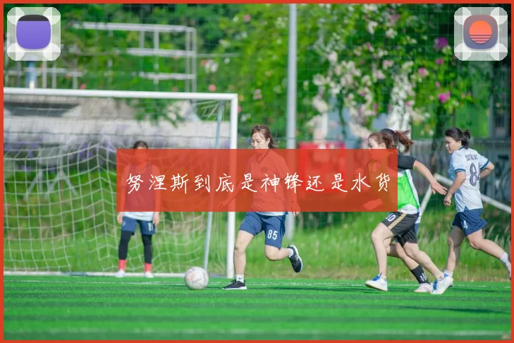 努涅斯到底是神锋还是水货