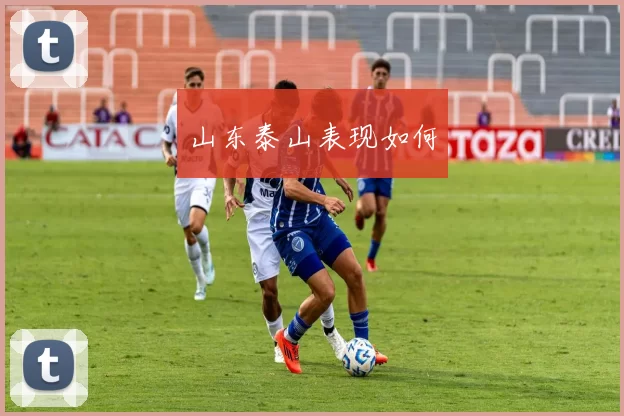 山东泰山表现如何