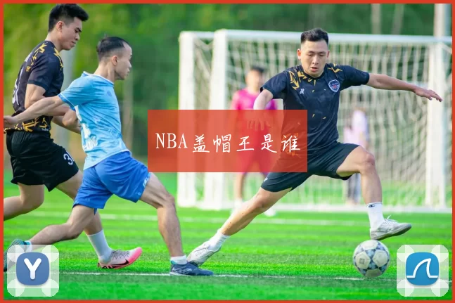 NBA盖帽王是谁