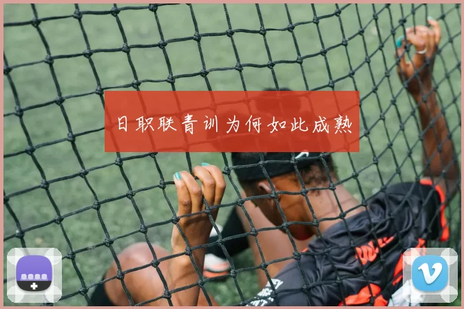 日职联青训为何如此成熟